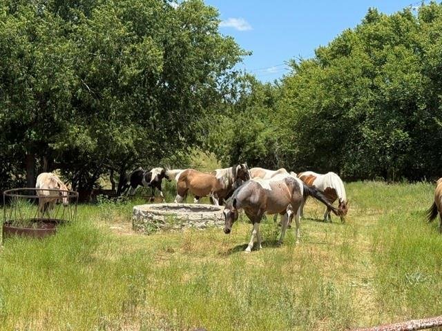 Land in Hico, Texas, United States 5 - 18406336