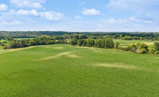 Terreno en Stillwater, Minnesota, Estados Unidos 1