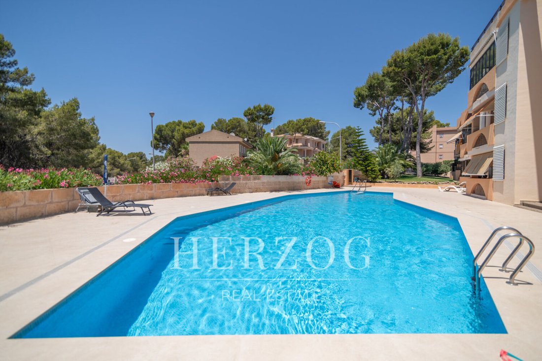 Apartment in Cala Fornells, Calvia, Balearic Islands 1 - 18483585