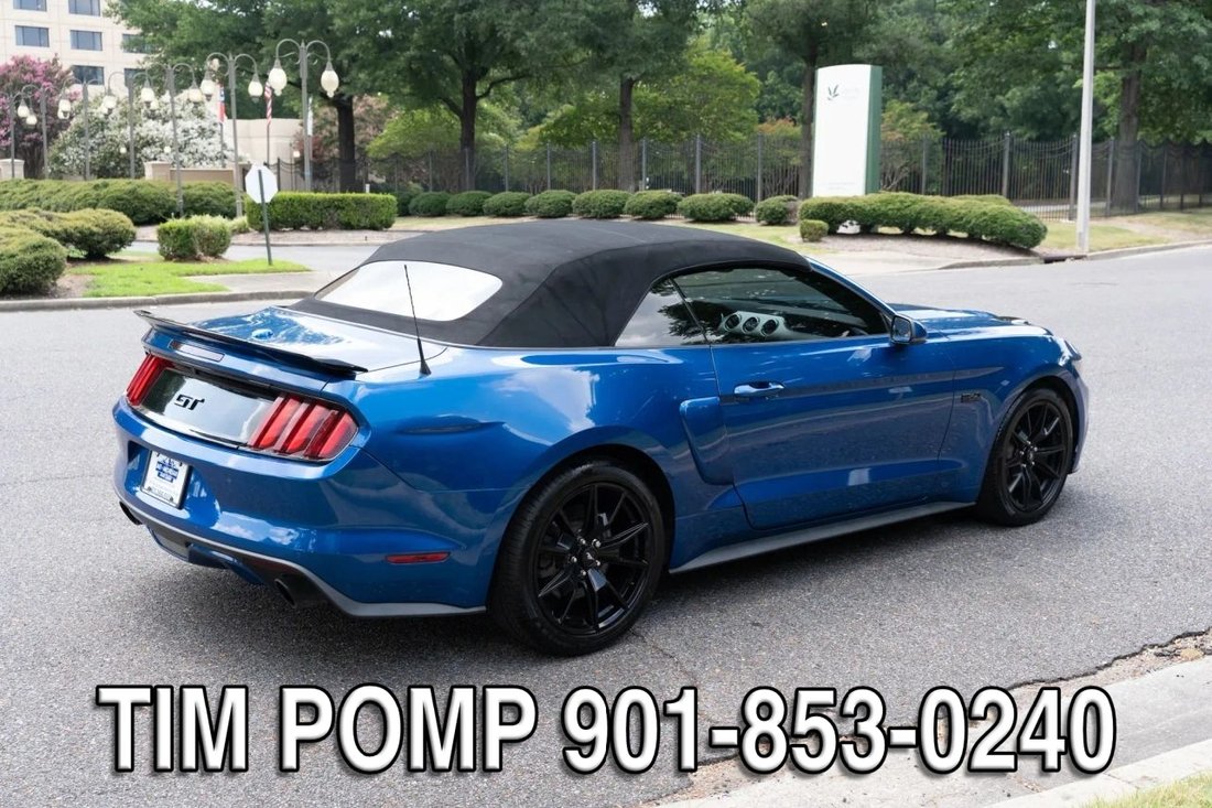 Cabriolet in Collierville, TN, United States 5 - 18487080