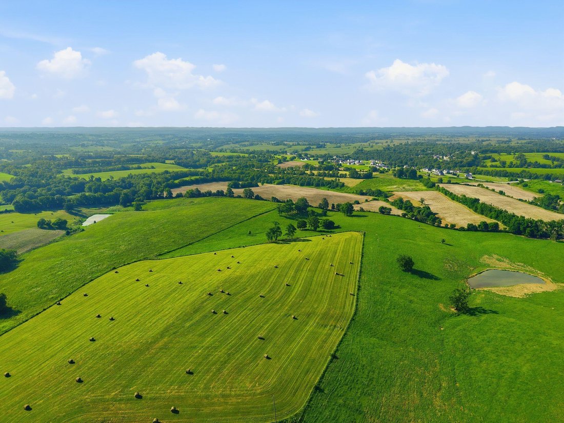 Farm Ranch in Mount Sterling, Kentucky, United States 1 - 17378590