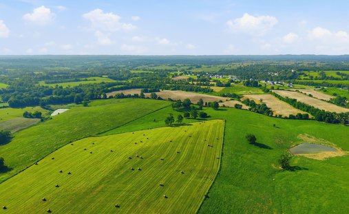 Farm Ranch in Mount Sterling, Kentucky, United States 1