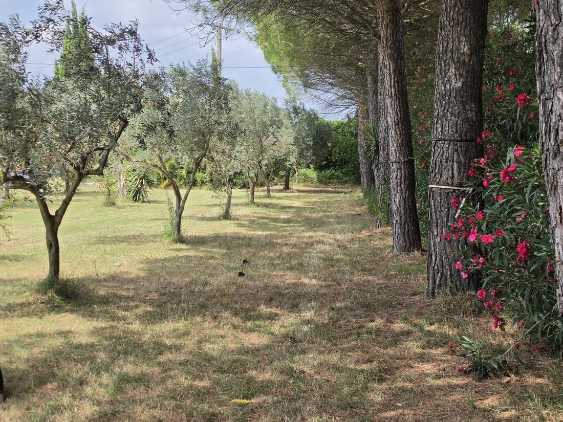 House in Gallician-Montcalm-Les Écarts, Vauvert, France 2 - 18483648