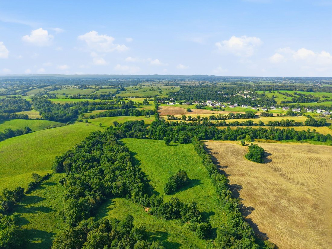 Farm Ranch in Mount Sterling, Kentucky, United States 3 - 17378590