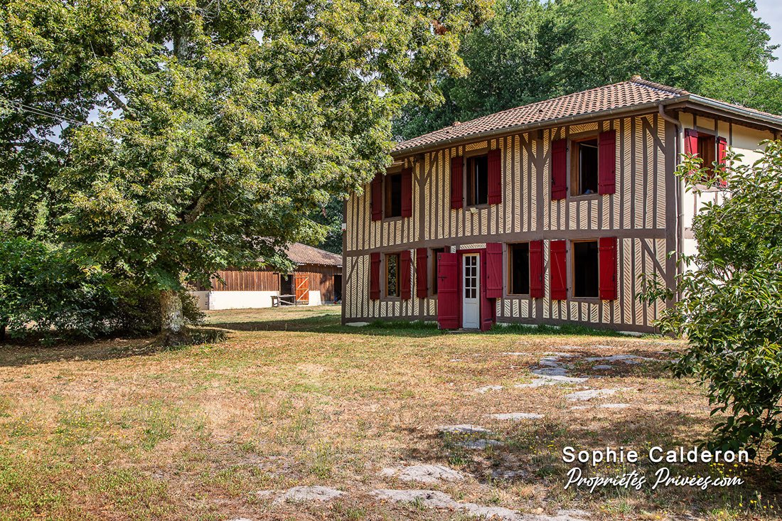 Villa in Castets, Nouvelle-Aquitaine, France 1 - 18451976