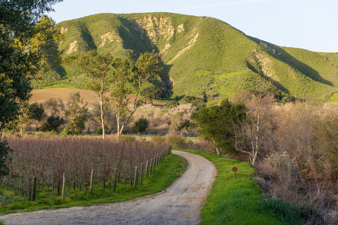 Farm Ranch in Buellton, California, United States 5 - 18485058