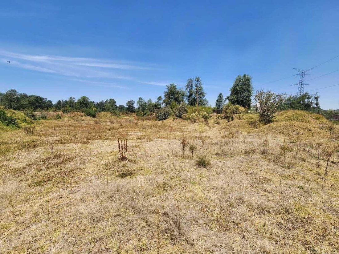 Land in Tenantongo, State of Mexico, Mexico 2 - 18484263