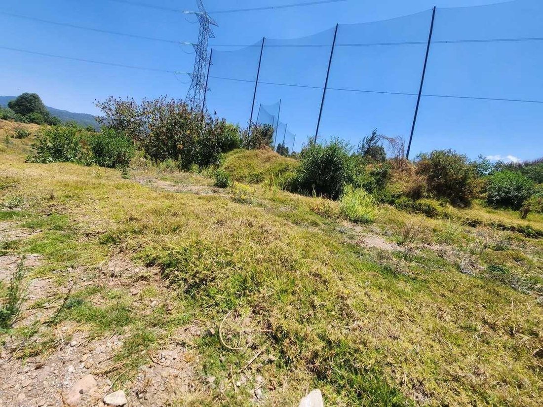Land in Tenantongo, State of Mexico, Mexico 5 - 18484263