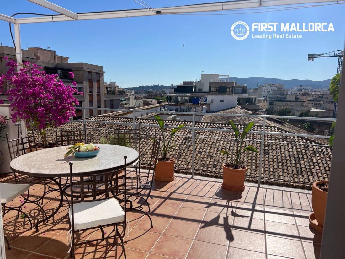Apartment in Palma, Balearic Islands, Spain 1 - 18058966