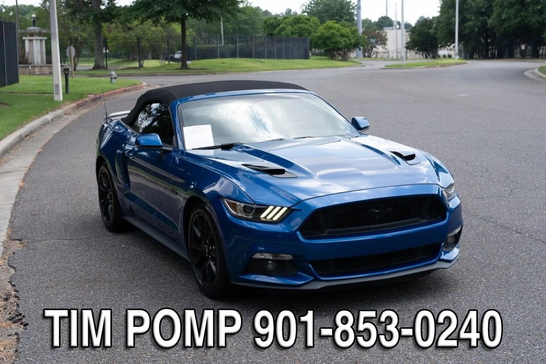 Cabriolet in Collierville, TN, United States 3 - 18487080