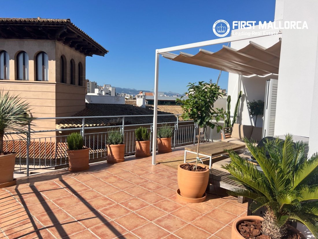 Apartment in Palma, Balearic Islands, Spain 4 - 18058966