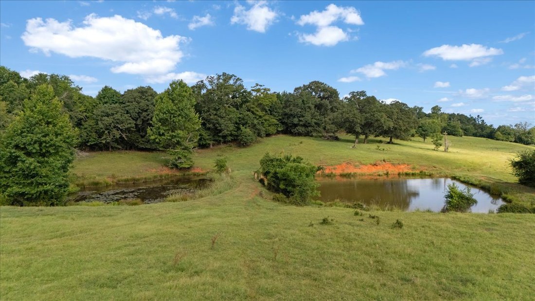 Land in Cushing, Texas, United States 5 - 18484825