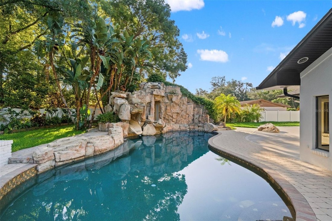 House in Tampa, Florida, United States 3 - 18487522