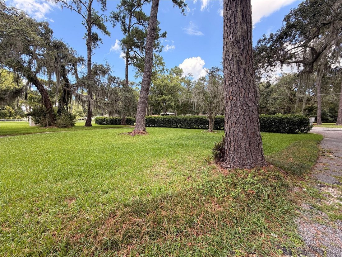 House in Astor, Florida, United States 5 - 18485599