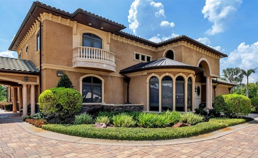 House in Dover, Florida, United States 1