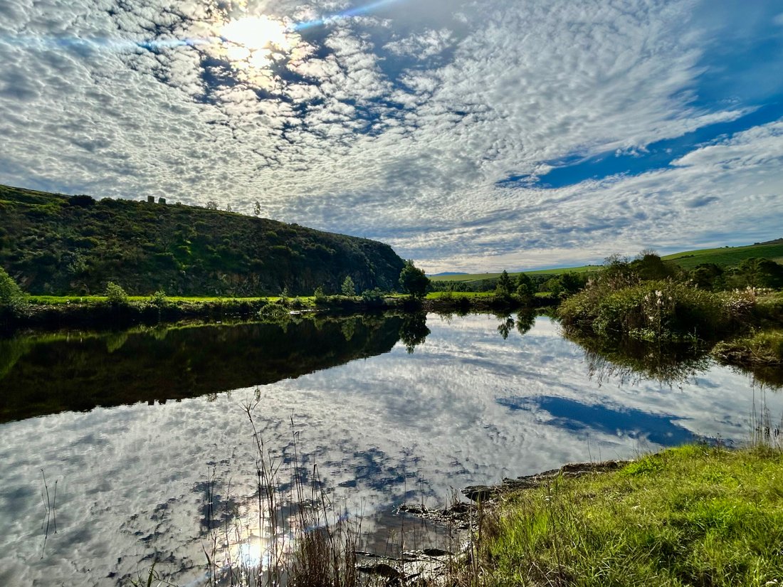 Farm Ranch in Johannesburg, Gauteng, South Africa 1 - 18483384