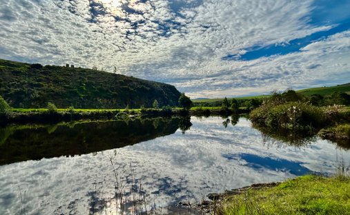 Farm Ranch in Johannesburg, Gauteng, South Africa 1