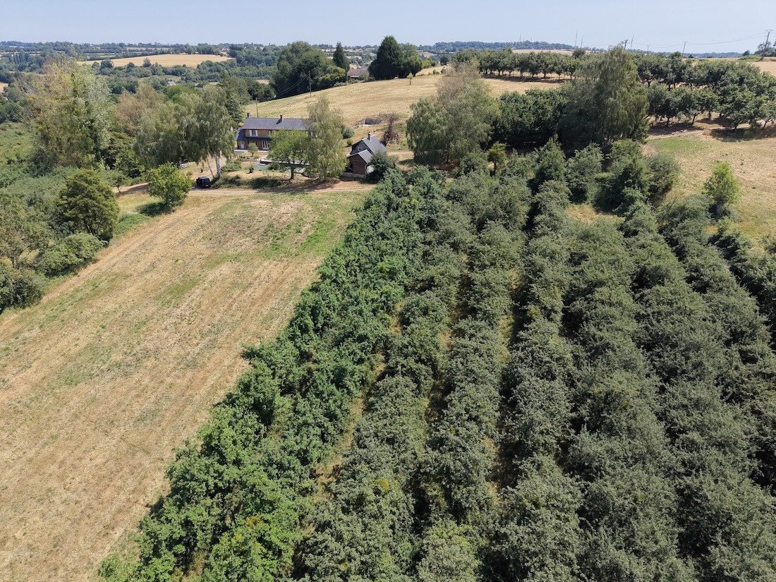 Estate in Gacé, Normandy, France 2 - 17505329