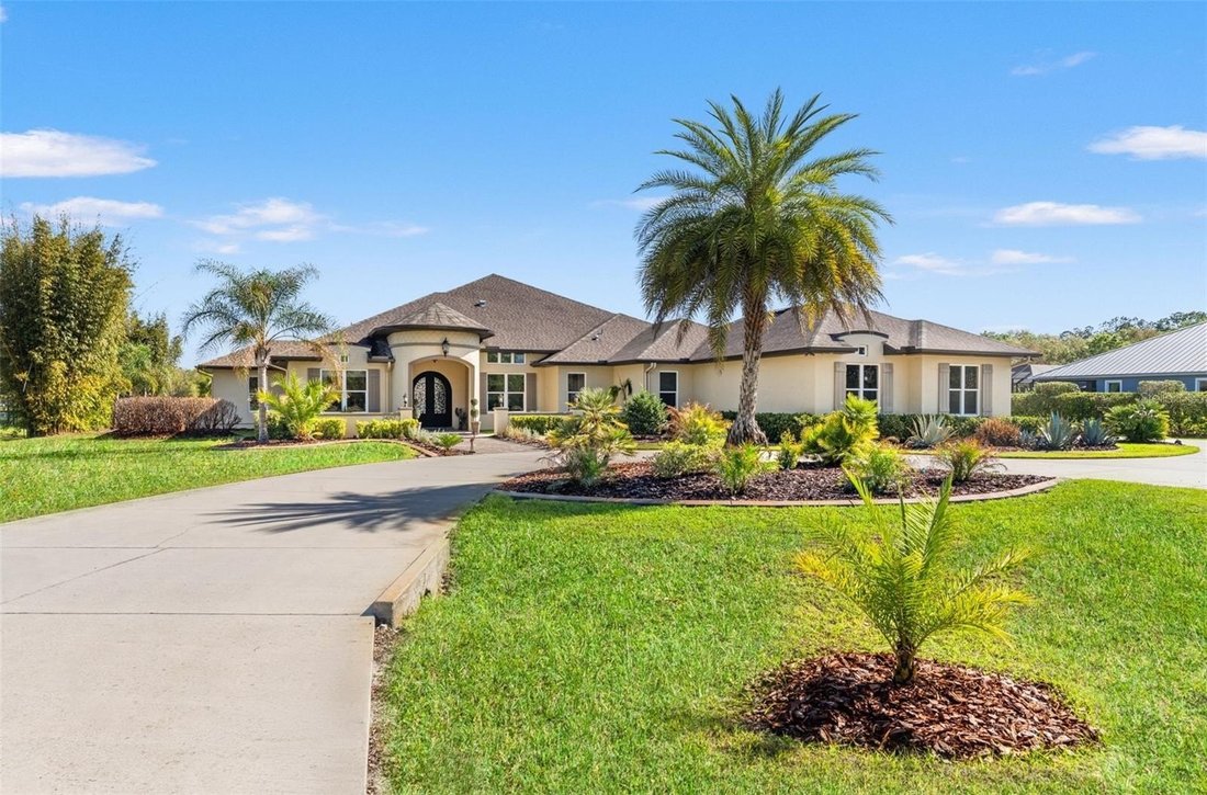 House in Land O' Lakes, Florida, United States 2 - 18487504