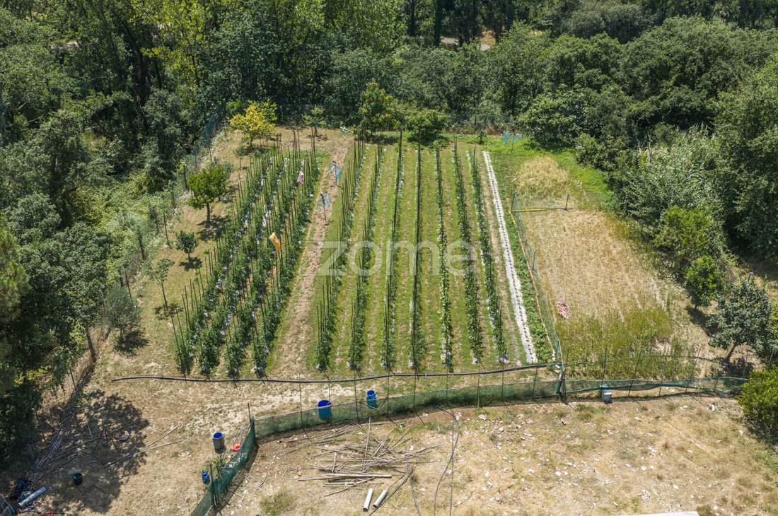 Land in Campanha, Porto District, Portugal 1 - 18486832