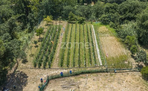 Land in Campanha, Porto District, Portugal 1