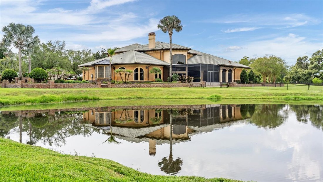 House in Dover, Florida, United States 4 - 18486089