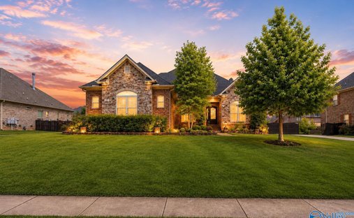 House in Madison, Alabama, United States 1
