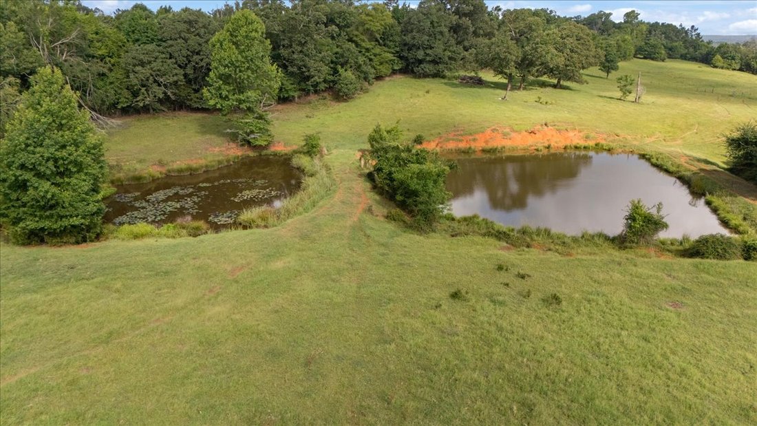 Land in Cushing, Texas, United States 4 - 18484825