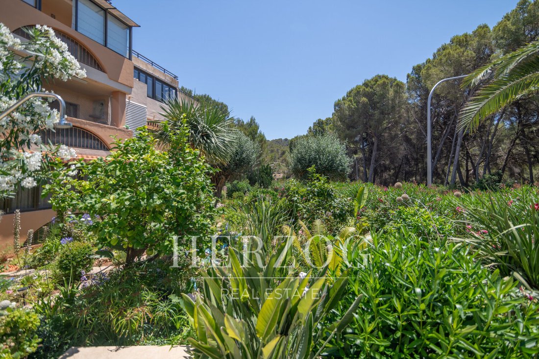 Apartment in Cala Fornells, Calvia, Balearic Islands 4 - 18483585