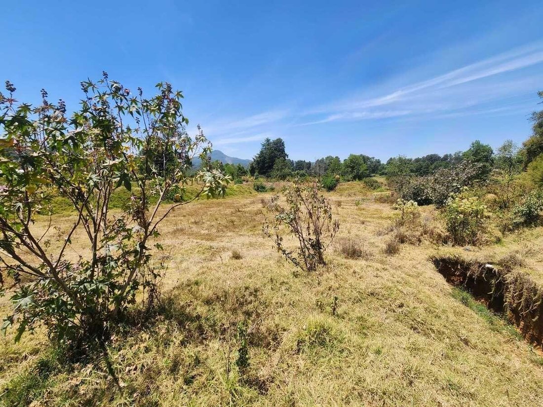 Land in Tenantongo, State of Mexico, Mexico 3 - 18484263