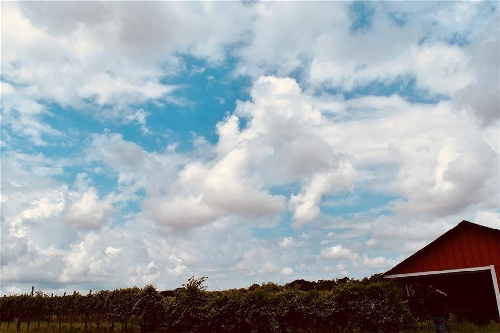House in Paige, Texas, United States 5 - 18486145