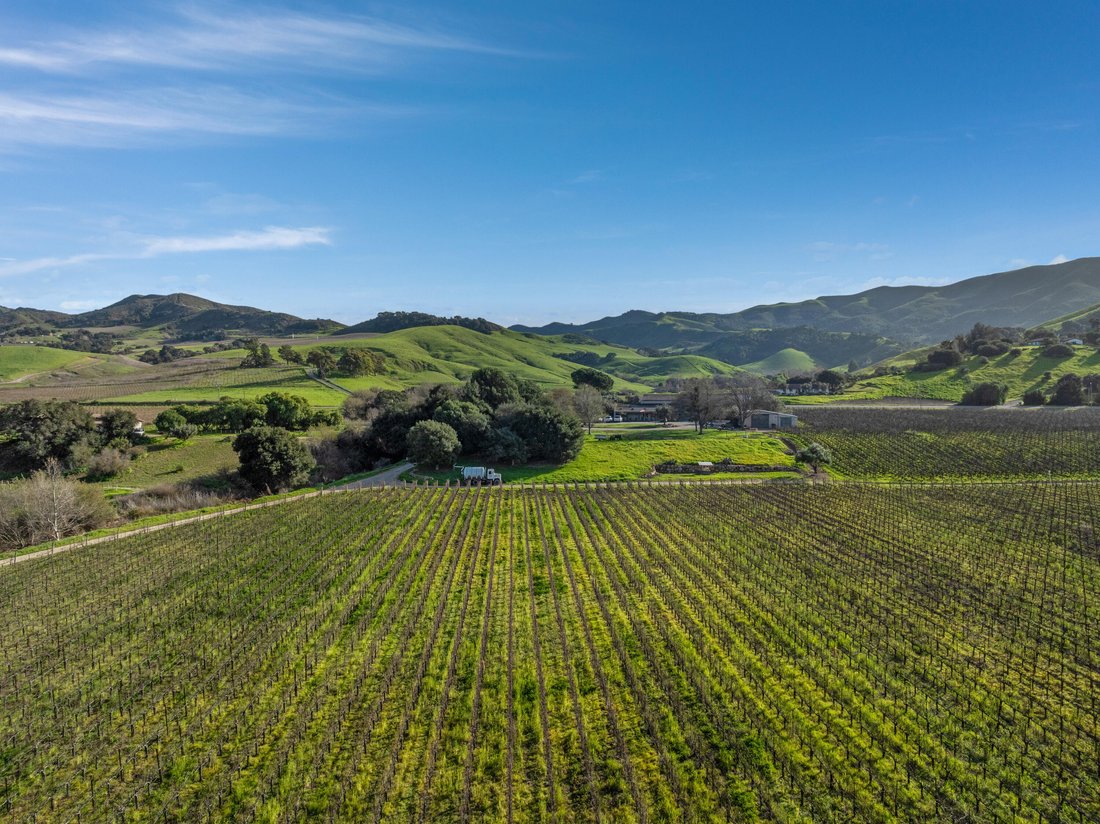 Farm Ranch in Buellton, California, United States 4 - 18485058