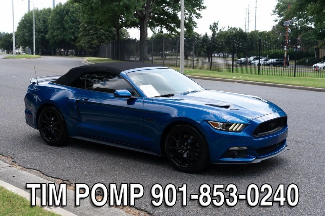 Cabriolet in Collierville, TN, United States 4 - 18487080