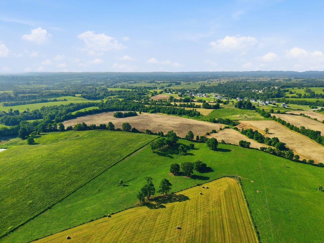 Farm Ranch in Mount Sterling, Kentucky, United States 2 - 17378590