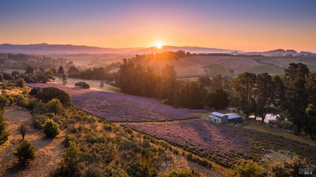 House in Sebastopol, California, United States 2 - 18484694
