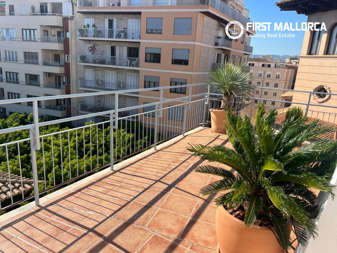 Apartment in Palma, Balearic Islands, Spain 5 - 18058966