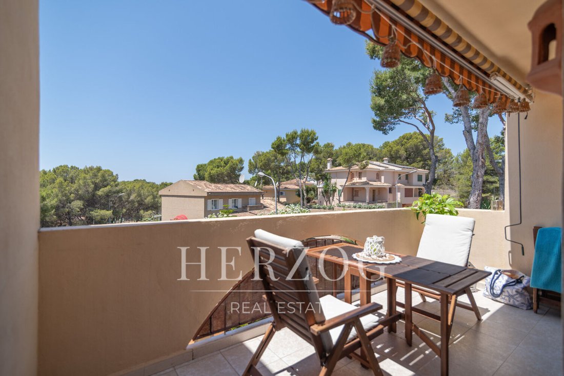 Apartment in Cala Fornells, Calvia, Balearic Islands 5 - 18483585