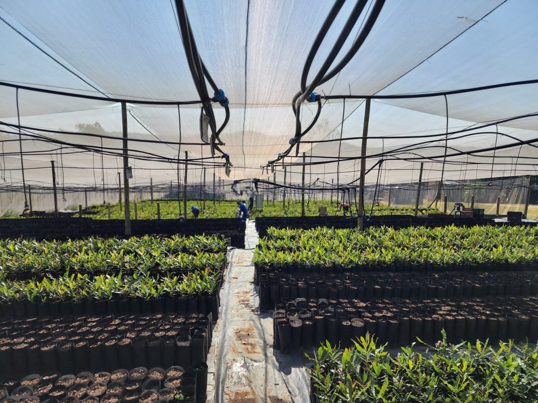 Farm Ranch in Johannesburg, Gauteng, South Africa 2 - 18483358