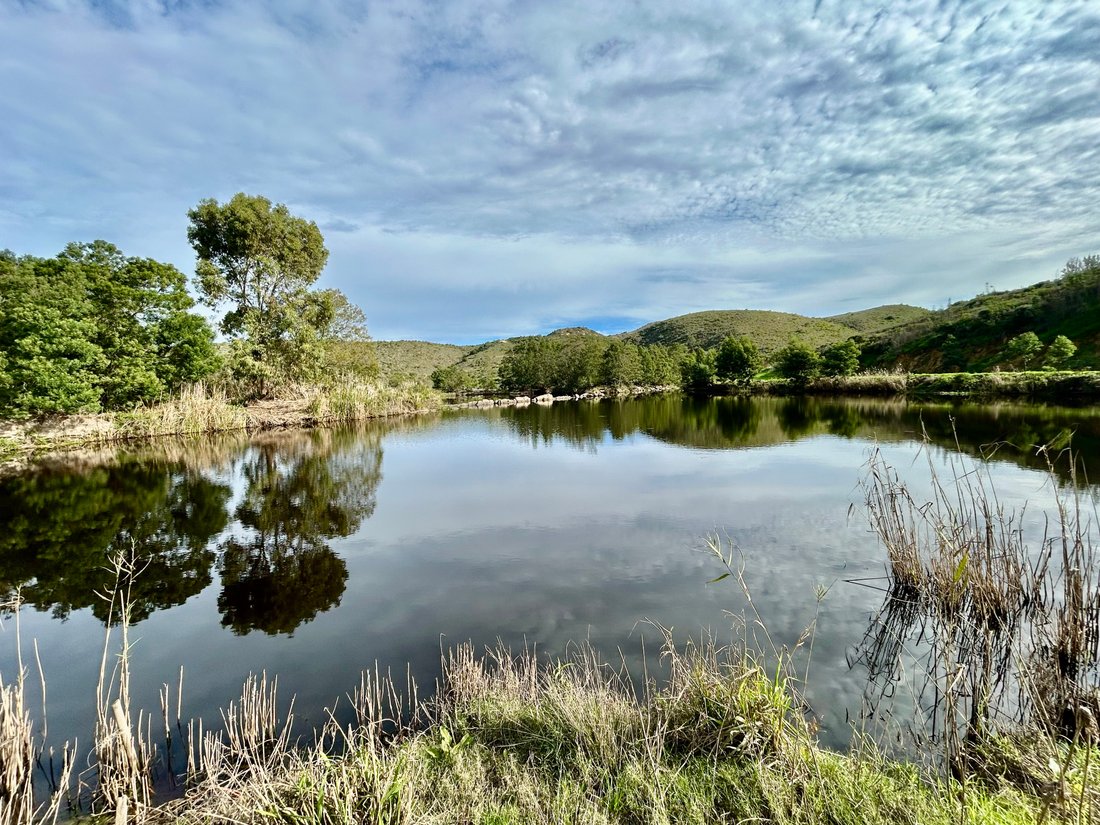 Farm Ranch in Johannesburg, Gauteng, South Africa 5 - 18483384