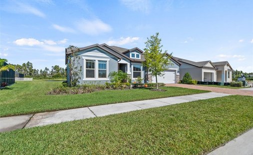 Tampa, Florida, United States 1