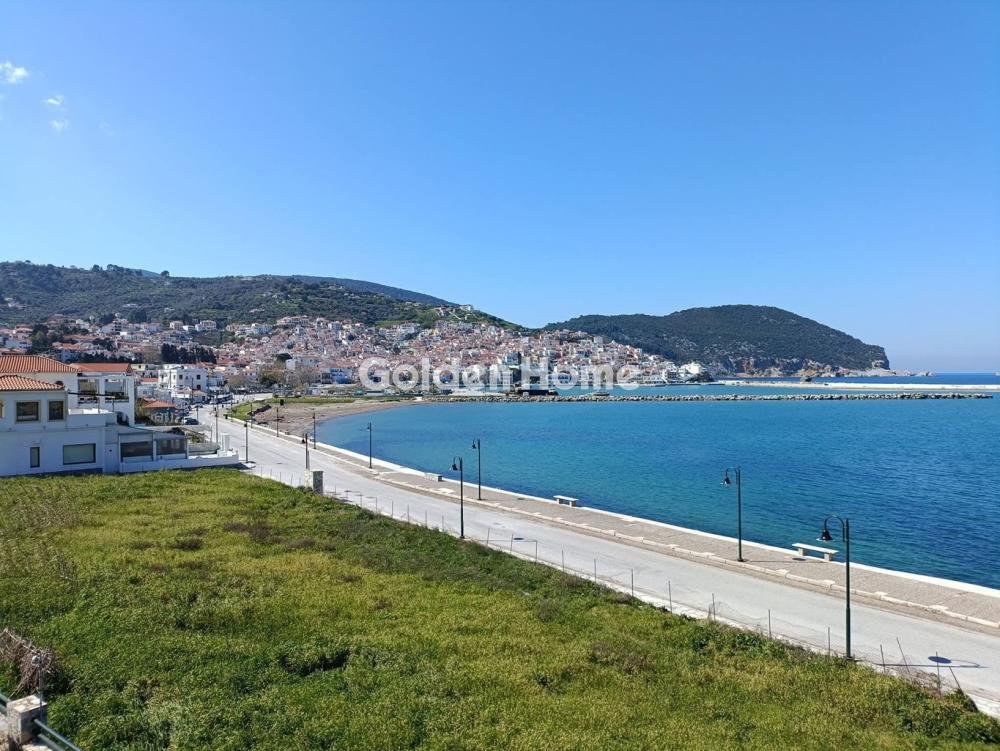 Land in Skopelos, Thessaly and Central Greece, Greece 2 - 18484056