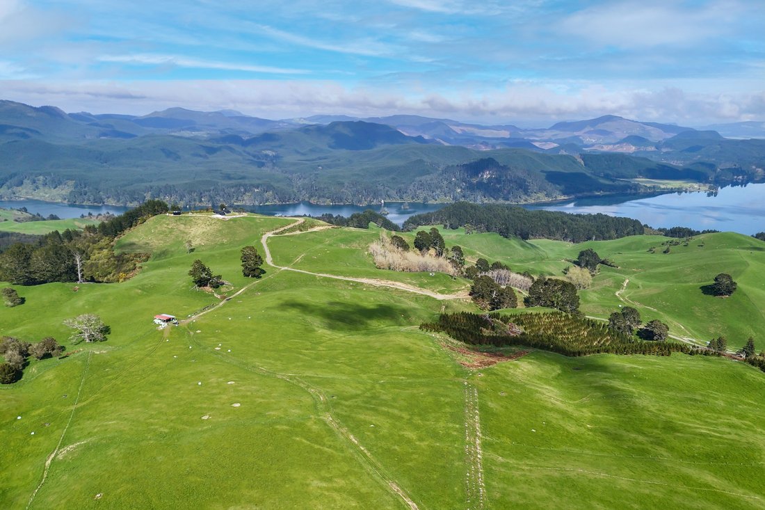 Land in Waikite Valley, Waikato, New Zealand 1 - 18486146