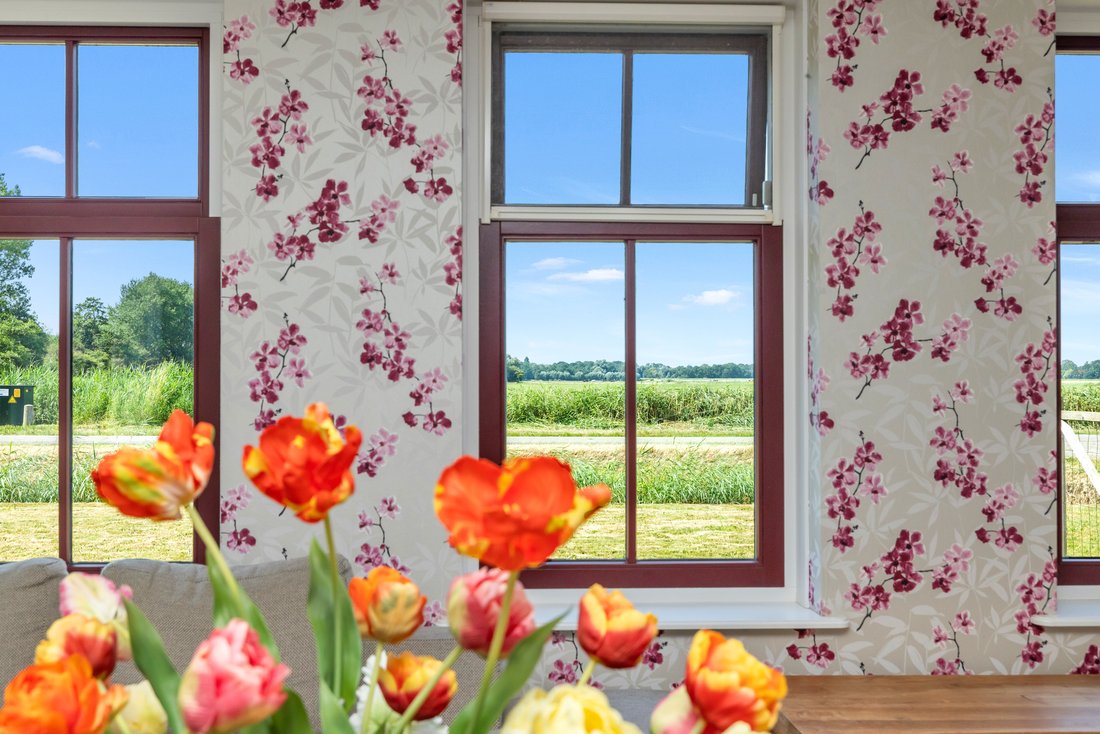 House in Heiloo, North Holland, Netherlands 5 - 18488340