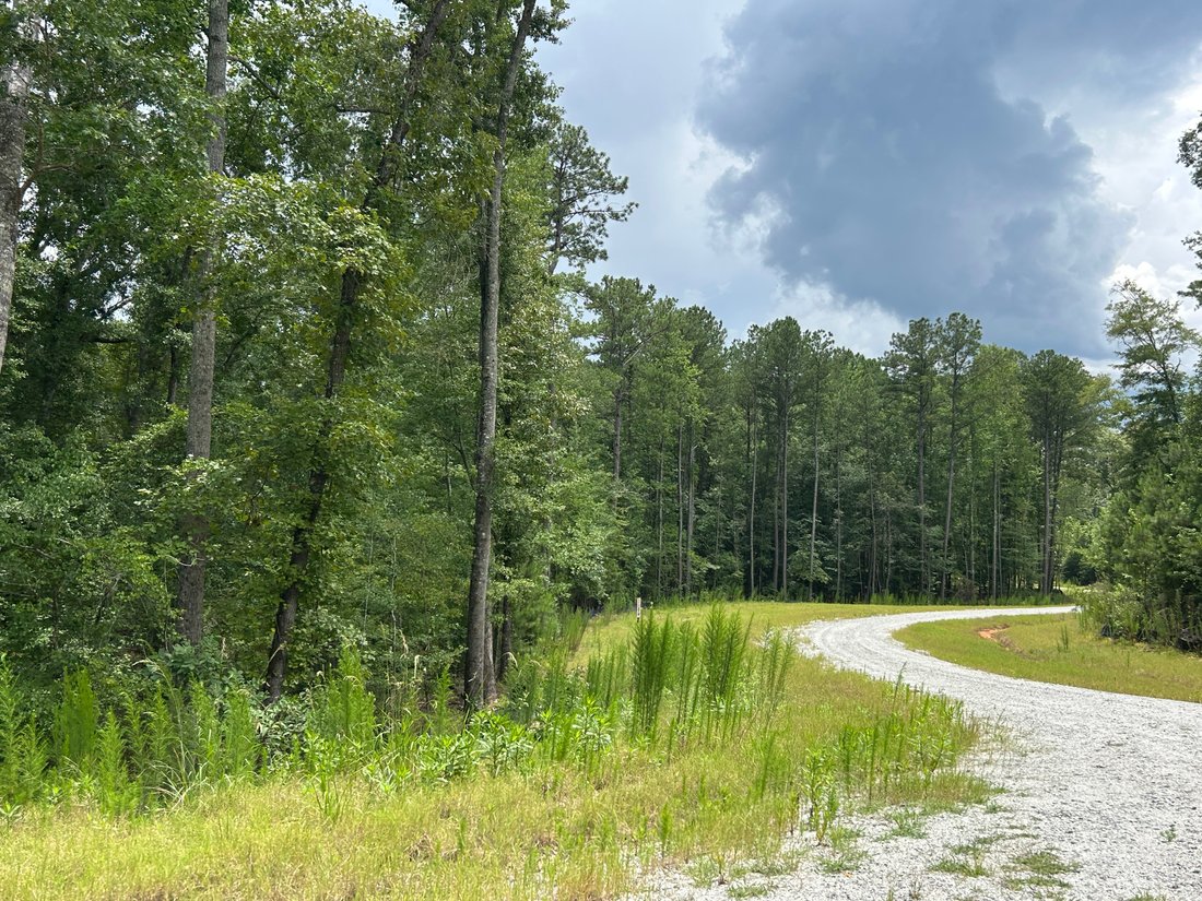 Land in Chattahoochee Hills, Georgia, United States 3 - 18488517