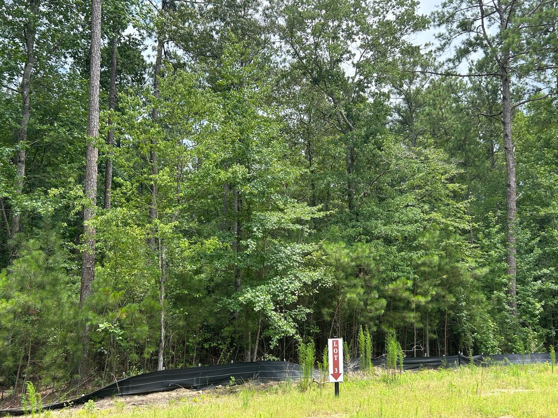 Land in Chattahoochee Hills, Georgia, United States 1 - 18488517