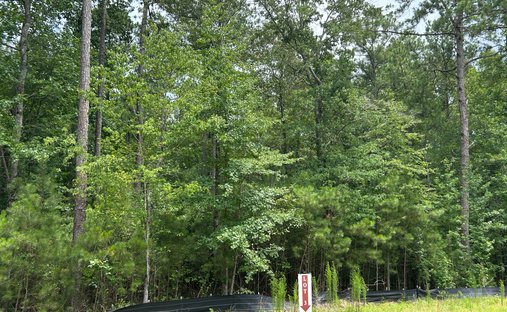 Land in Chattahoochee Hills, Georgia, United States 1