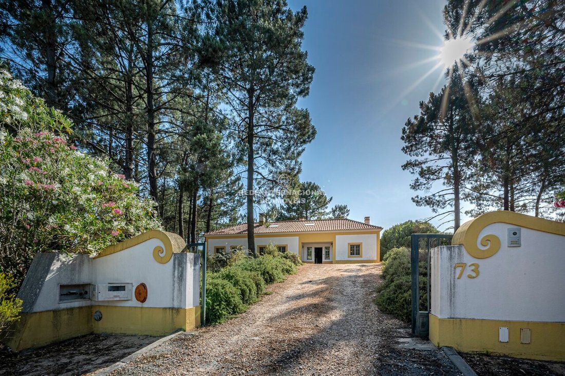 House in Alcacer do Sal, Setubal, Portugal 3 - 18278769