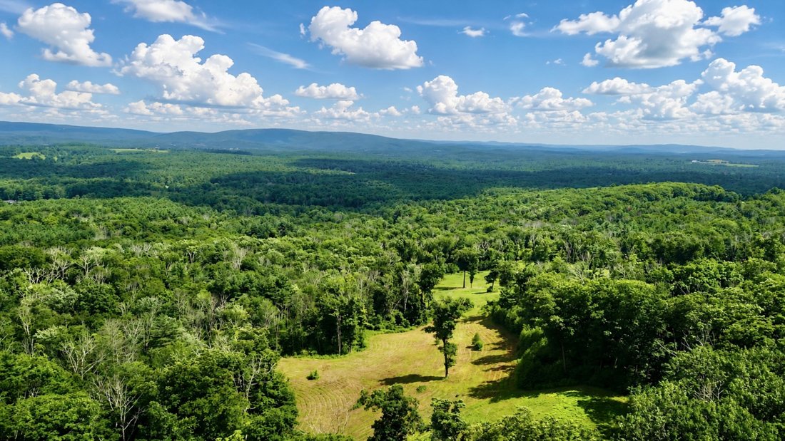 Land in Great Barrington, Massachusetts, United States 2 - 18488513