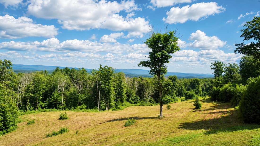 Land in Great Barrington, Massachusetts, United States 4 - 18488513