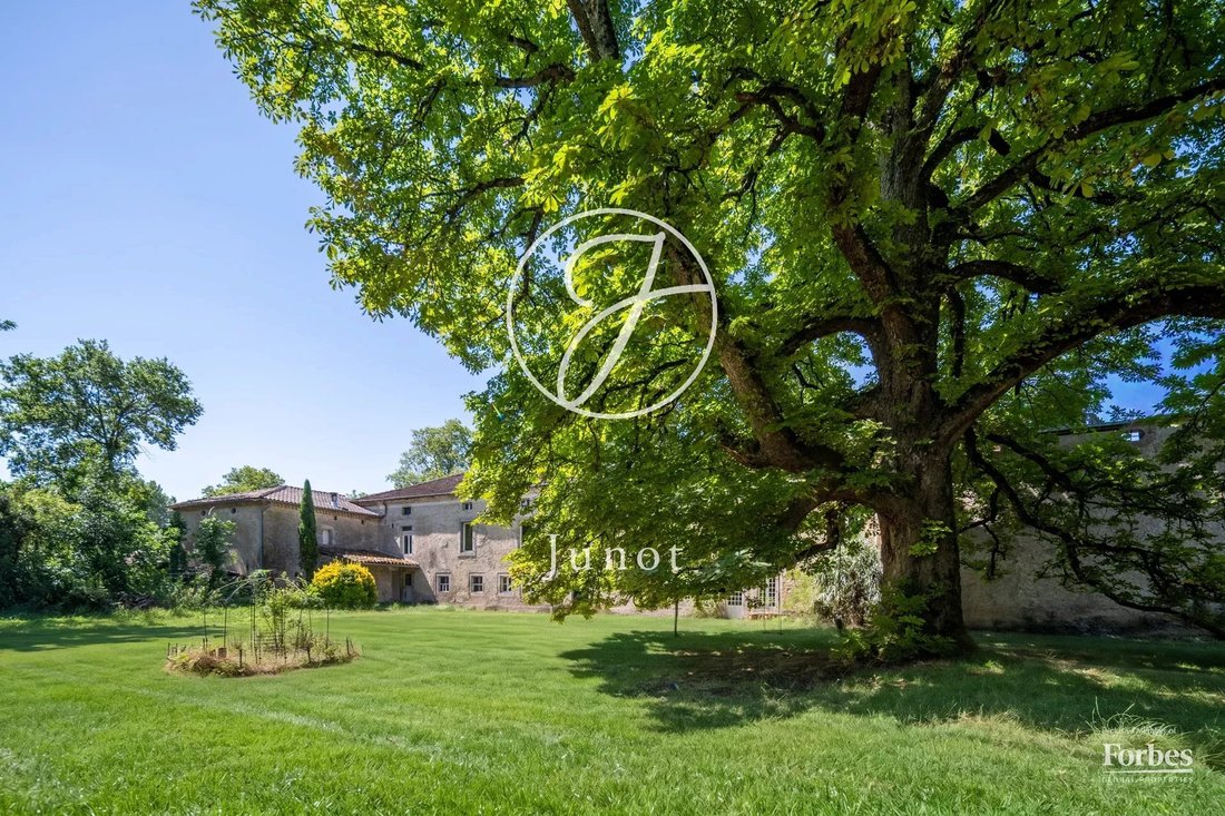Estate in Faubourg Est-Peraudel, Castres, France 4 - 18488580